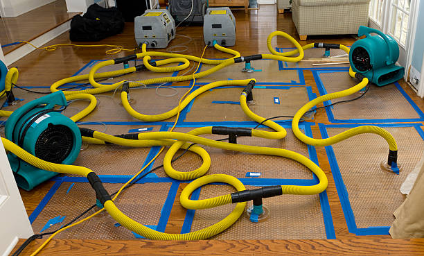 Professional Basement Flood Cleanup technician working in Mascoutah, IL